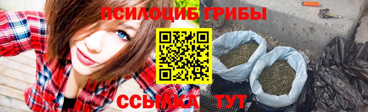 Воркута  Псилоцибиновые грибы Magic Shrooms  Вход с VPN  Галлюциногенные грибы Magic Shrooms 