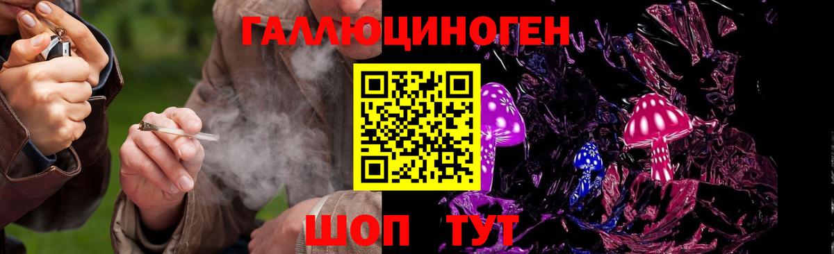 Псилоцибиновые грибы Cubensis Воркута